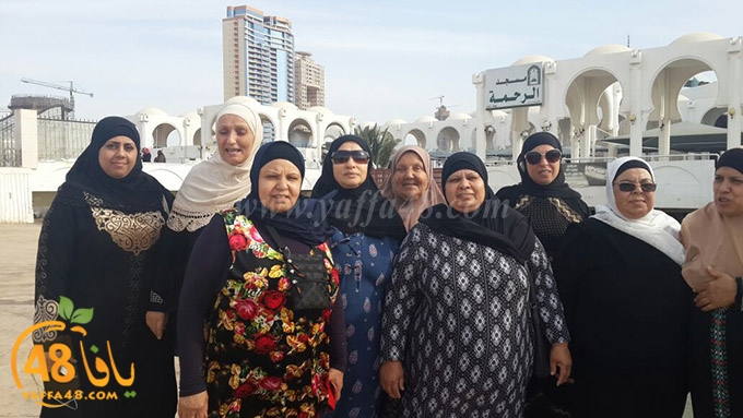 zibda yaffa jadda (7).jpg